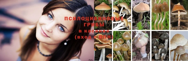 мдма Богданович