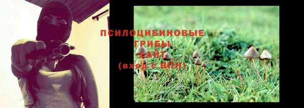 2c-b Богородицк