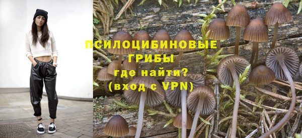 2c-b Богородицк