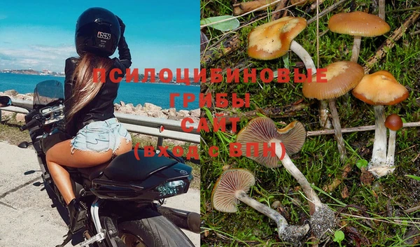 амфетамин Богородск