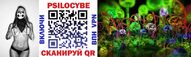 Псилоцибиновые грибы мухоморы  Купить где  Пудож 